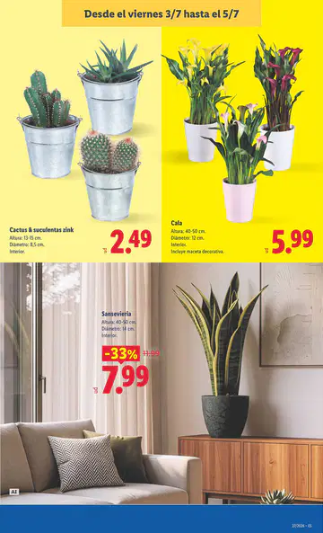 Catálogo Lidl - Página 2