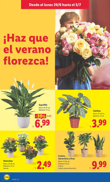 Catálogo Lidl - Página 1