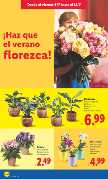 Lidl Folleto Semana 28 desde 6 de julio de 2026 - Página 3