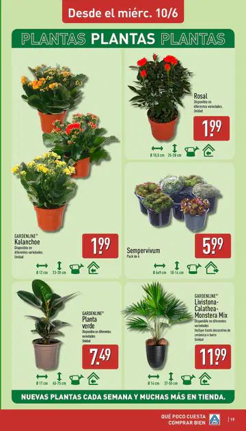 Catálogo ALDI 8 junio 2026 - Página 6
