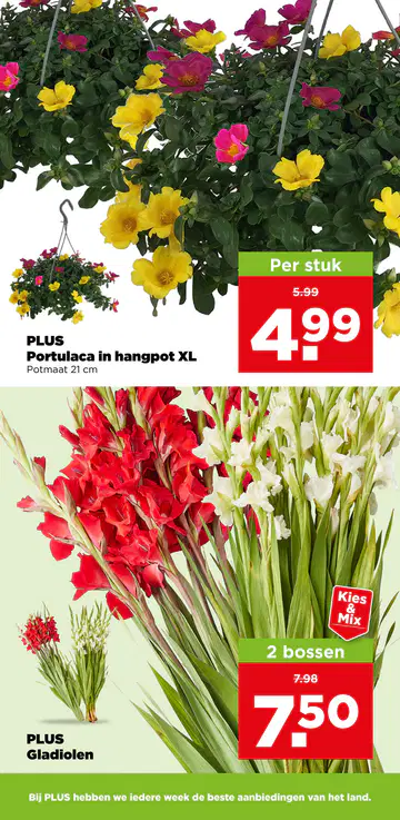 PLUS Folder vanaf 15-07-2026 - Pagina 2