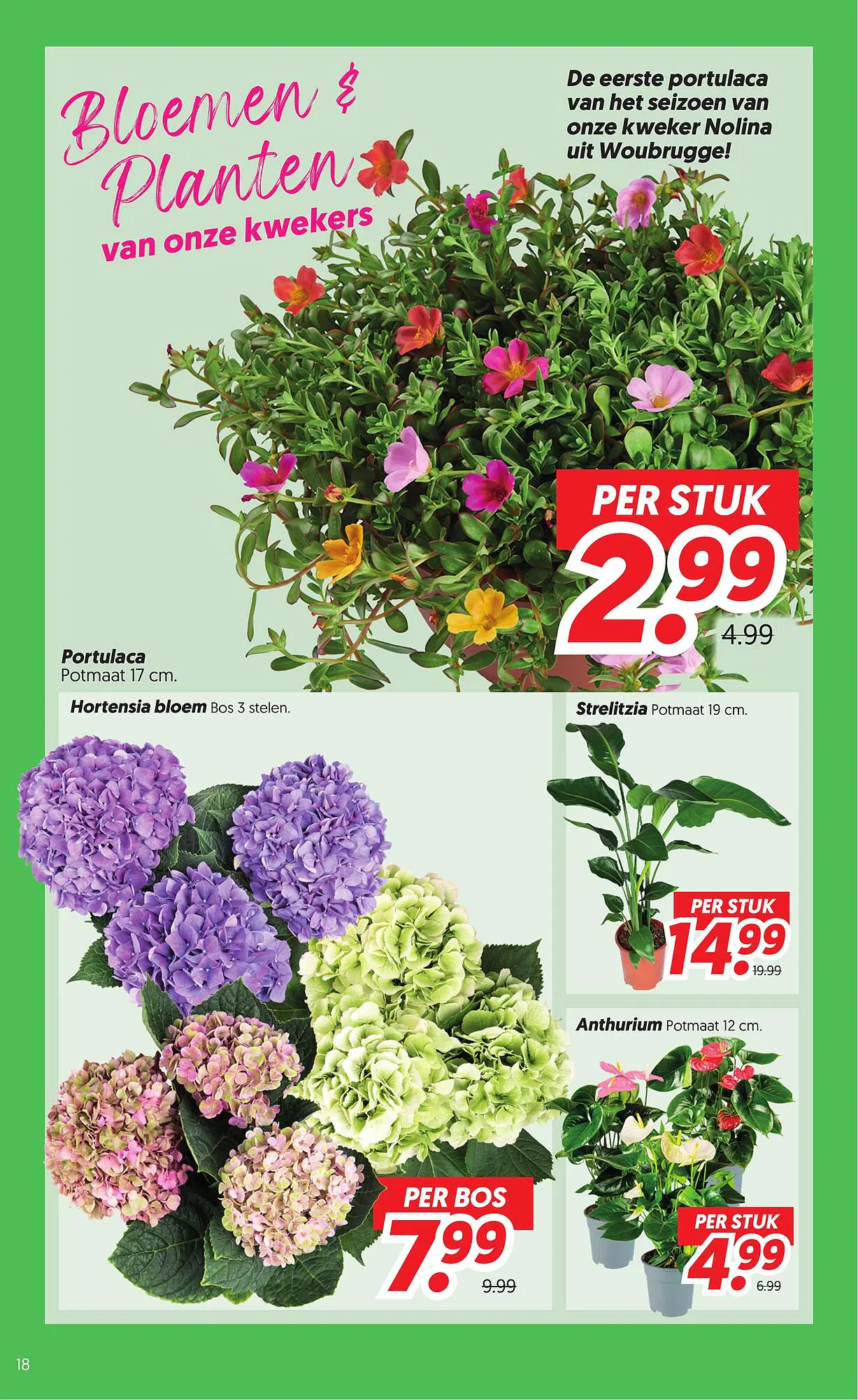 Dekamarkt Folder week 24 vanaf 09-06-2026 - Pagina 18