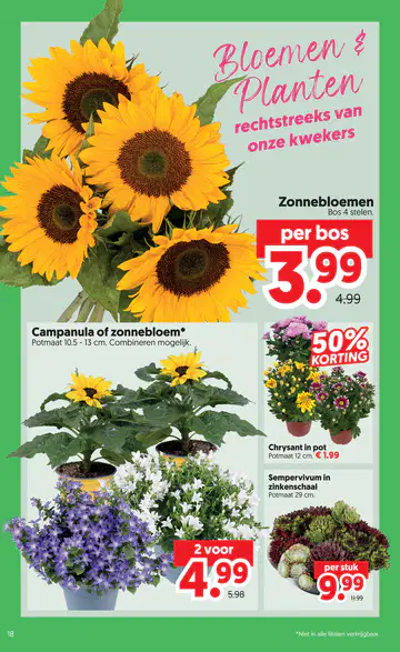 Dekamarkt Folder week 29 vanaf 14-07-2026 - Pagina 1