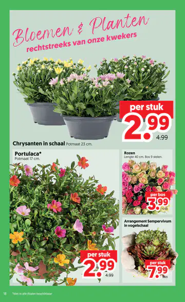dekamarkt Folder week 31 vanaf 28-07-2026 - Pagina 1