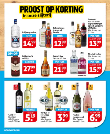 Hoogvliet Folder week 25 vanaf 17-06-2026 - Pagina 1