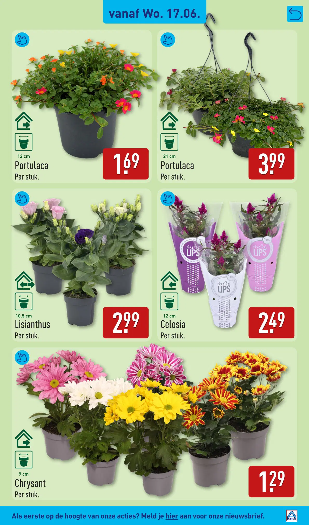 ALDI Folder week 25 vanaf 15-06-2026 - Pagina 41
