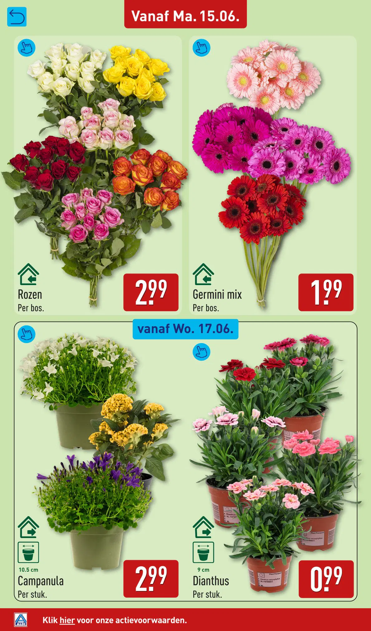ALDI Folder week 25 vanaf 15-06-2026 - Pagina 40