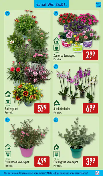 ALDI Folder week 26 vanaf 22-06-2026 - Pagina 2