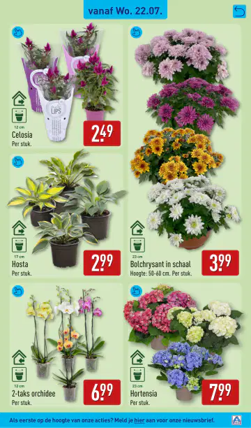 ALDI Folder week 30 vanaf 20-07-2026 - Pagina 6