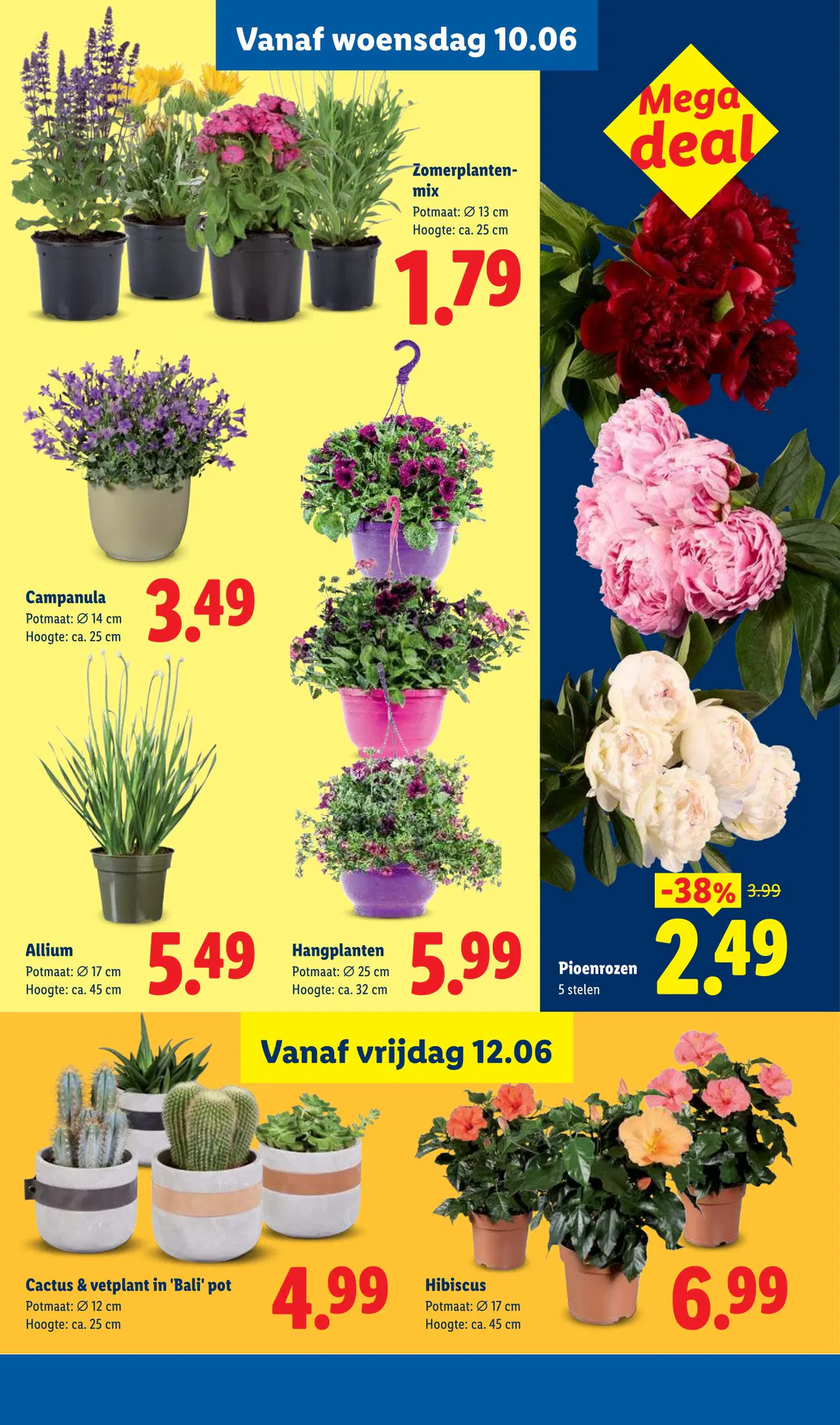 Lidl Folder week 24 vanaf 08-06-2026 - Pagina 25