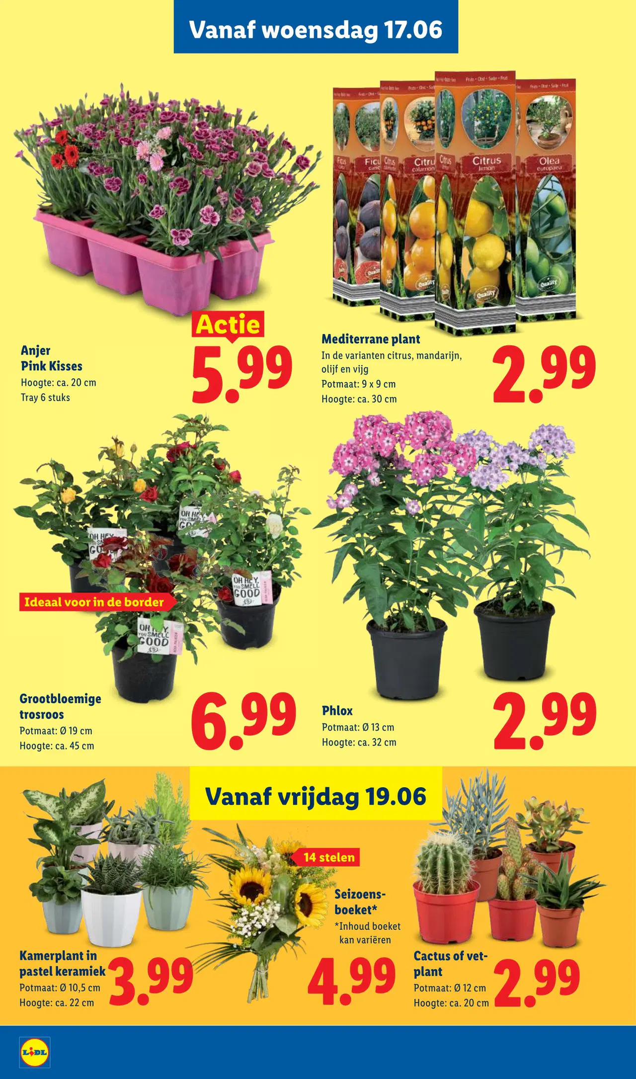 Lidl Folder week 25 vanaf 15-06-2026 - Pagina 19