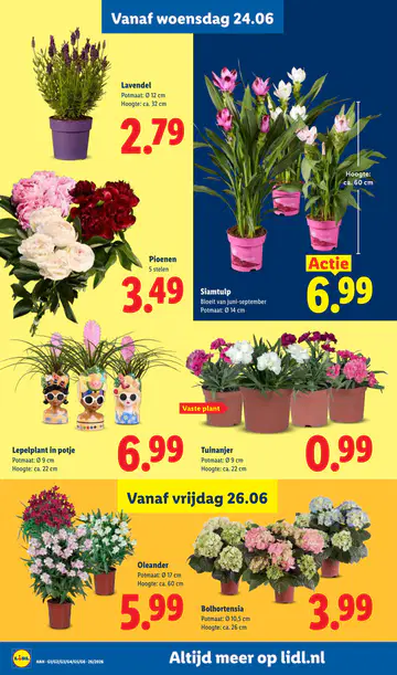 Lidl Folder week 26 vanaf 22-06-2026 - Pagina 6