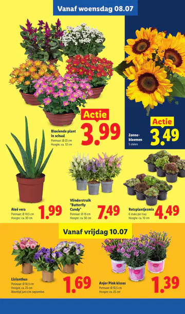 Lidl Folder week 28 vanaf 06-07-2026 - Pagina 1