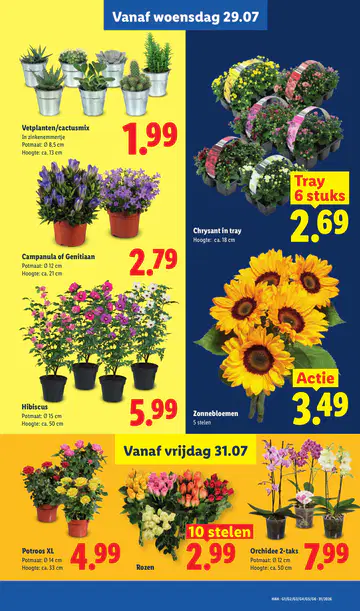 Lidl Folder week 31 vanaf 27-07-2026 - Pagina 4
