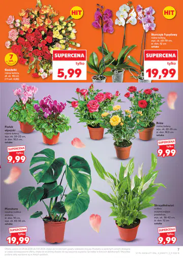 Kaufland Gazetka - Strona 6