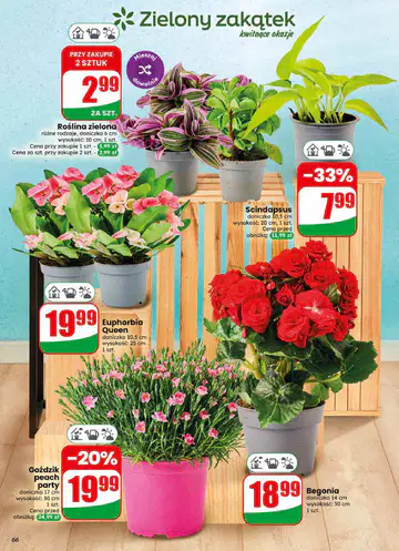 Gazetka Dino od 10.06.2026 do 16.06.2026 - Strona 5