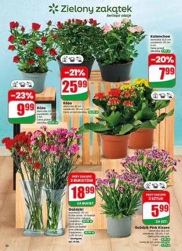 Gazetka Dino od 17.06.2026 - Strona 1