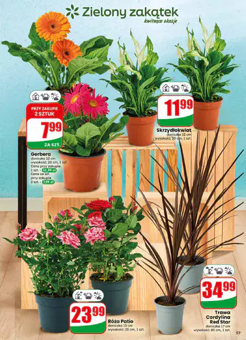 Gazetka Dino od 17.06.2026 - Strona 2