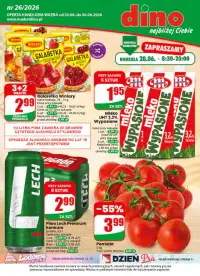 Podgląd gazetki Dino w tym tygodniu (24.06.2026–30.06.2026)