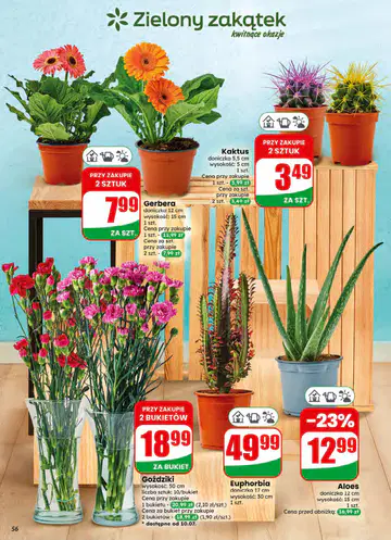 Gazetka Dino od 08.07.2026 - Strona 1