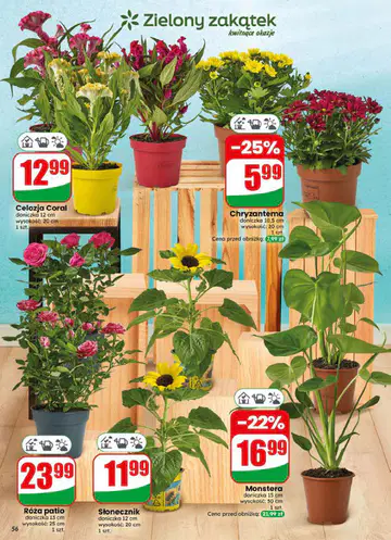 Gazetka Dino od 15.07.2026 - Strona 1