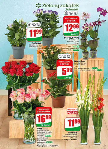Gazetka Dino od 15.07.2026 - Strona 6