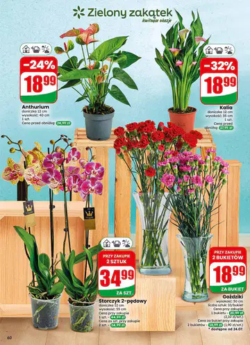Gazetka Dino od 22.07.2026 - Strona 5