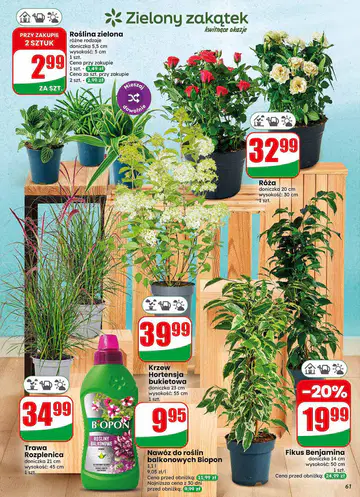 Gazetka Dino od 22.07.2026 - Strona 6