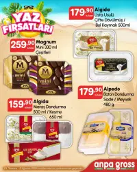 Anpa Gross broşürü bu hafta (23 Temmuz 2026–2 Ağustos 2026) önizlemesi